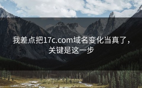 我差点把17c.com域名变化当真了，关键是这一步