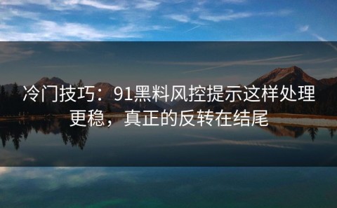 冷门技巧：91黑料风控提示这样处理更稳，真正的反转在结尾