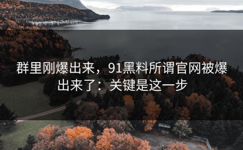 群里刚爆出来，91黑料所谓官网被爆出来了：关键是这一步