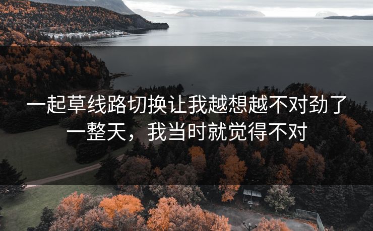 一起草线路切换让我越想越不对劲了一整天,我当时就觉得不对 一起草线路切换让我越想越不对劲了一整天,我当时就觉得不对