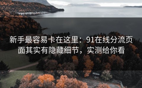 新手最容易卡在这里：91在线分流页面其实有隐藏细节，实测给你看
