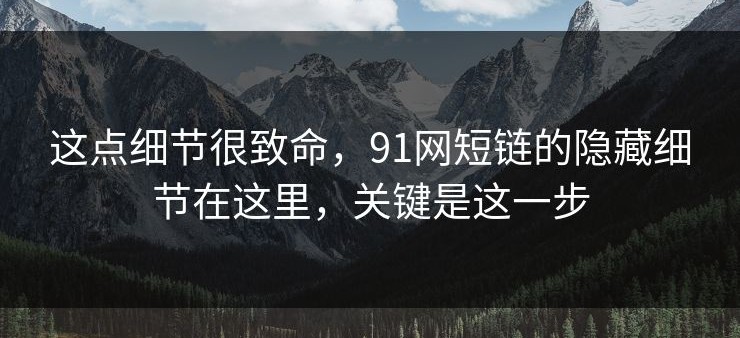 这点细节很致命，91网短链的隐藏细节在这里，关键是这一步
