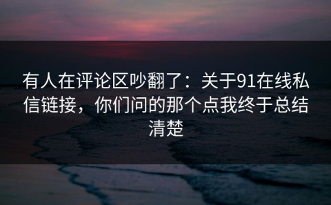 有人在评论区吵翻了：关于91在线私信链接，你们问的那个点我终于总结清楚