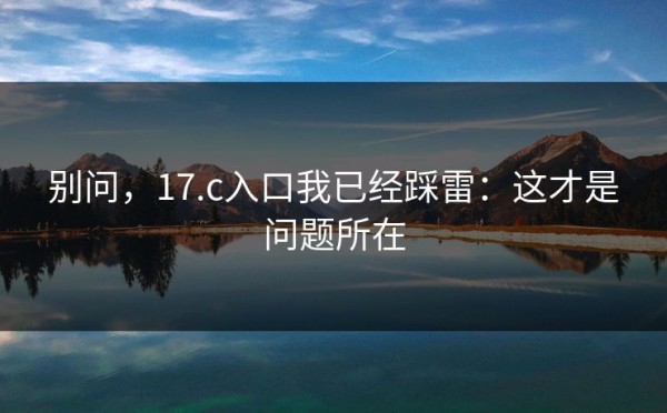 别问，17.c入口我已经踩雷：这才是问题所在