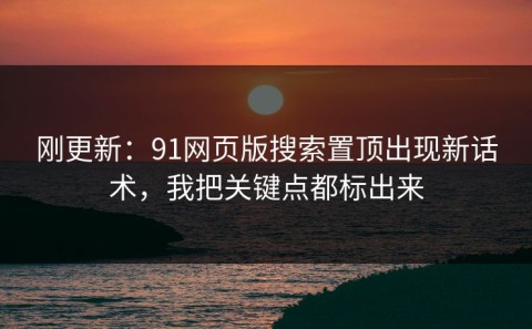 刚更新：91网页版搜索置顶出现新话术，我把关键点都标出来