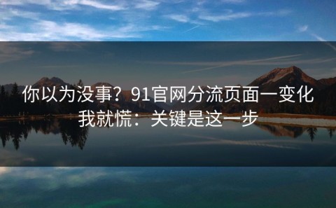 你以为没事？91官网分流页面一变化我就慌：关键是这一步