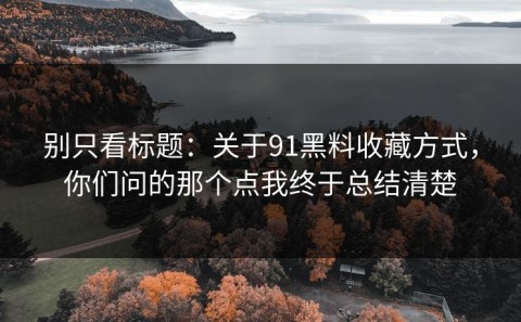 别只看标题：关于91黑料收藏方式，你们问的那个点我终于总结清楚