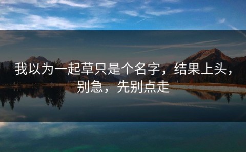 我以为一起草只是个名字，结果上头，别急，先别点走